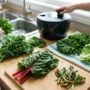 Як зберегти зелень свіжою надовго: 6 перевірених методів для кожного виду